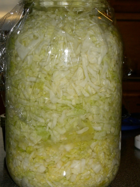 Countertop sauerkraut